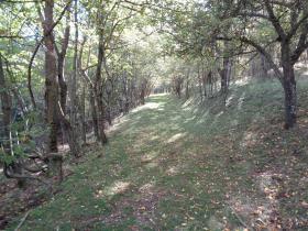 photo coins arrondis